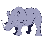 Gif animé rhinocéros dort